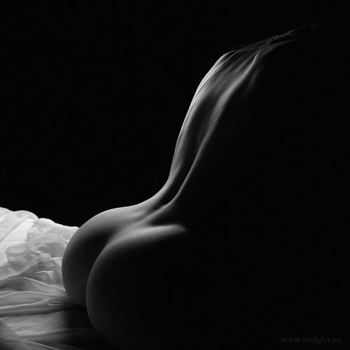 #2595 на obutts.ru